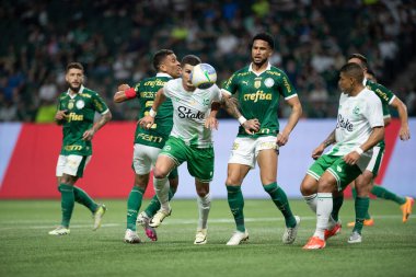 SAO PAULO (SP), 06.23.2024: Sao Paulo 'daki Allianz Parque Stadyumu' nda düzenlenen Brezilya Şampiyonası 'nın 11. turu için geçerli olan Palmeiras x Juventude arasındaki maç.