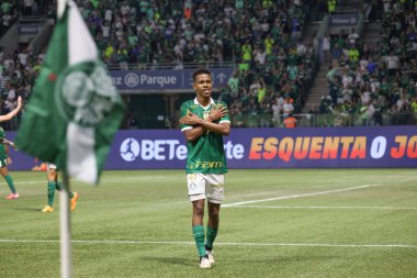 Palmeiras ile Juventude arasındaki maç 2024 Sao Paulo (SP), 06.23.2024 - BRASILEIRO PALMEIRAS Haziran 2024, Allianz Parque, Sao Paulo- SP.