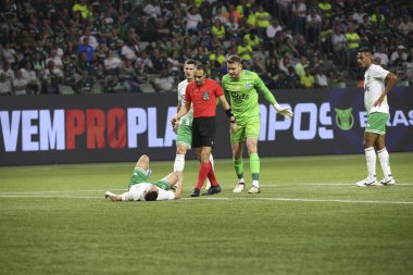 Palmeiras ve Juventude arasındaki maç Brezilya Şampiyonası 2024 Sao Paulo (SP), 06 23 2024 - BRAZILEIRO PALMEIRAS Allianz Parque, Sao Paulo- SP.