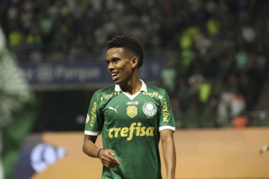 Palmeiras ile Juventude arasındaki maç 2024 Sao Paulo (SP), 06.23.2024 - BRASILEIRO PALMEIRAS Haziran 2024, Allianz Parque, Sao Paulo- SP.