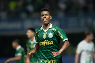 Palmeiras ile Juventude arasındaki maç 2024 Sao Paulo (SP), 06.23.2024 - BRASILEIRO PALMEIRAS Allianz Parque, Sao Paulo-SP.