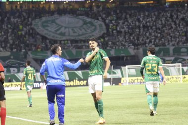 Palmeiras ile Juventude arasındaki maç 2024 Sao Paulo (SP), 06.23.2024 - BRASILEIRO PALMEIRAS Haziran 2024, Allianz Parque, Sao Paulo- SP.