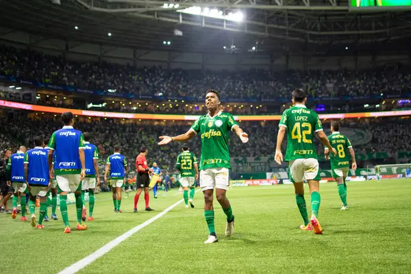 Palmeiras ile Juventude arasındaki maç 2024 Sao Paulo (SP), 06.23.2024 - BRASILEIRO PALMEIRAS Allianz Parque, Sao Paulo-SP.