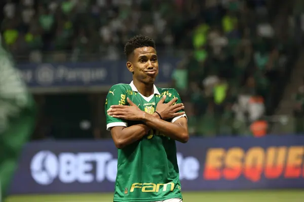 stock image Match between Palmeiras and Juventude for the Brazilian Championship 2024 Sao Paulo (SP), 06.23.2024 - BRASILEIRO PALMEIRAS June 2024, at Allianz Parque, in the city of Sao Paulo- SP.