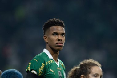 Sao Paulo (SP), Brezilya 07 / 01 / 2024 - Sao Paulo-SP 'deki Allianz Parque' da BRASILEIRO vs PALMEIRAS maçı. 