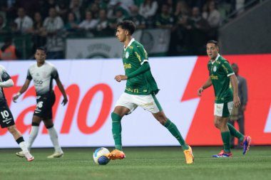 Sao Paulo (SP), Brezilya 07 / 01 / 2024 - Sao Paulo-SP 'deki Allianz Parque' da BRASILEIRO vs PALMEIRAS maçı. 