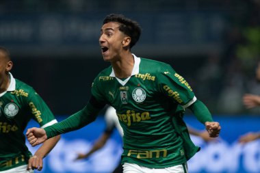 Sao Paulo (SP), Brezilya 07 / 01 / 2024 - Sao Paulo-SP 'deki Allianz Parque' da BRASILEIRO vs PALMEIRAS maçı. 