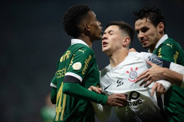 Sao Paulo (SP), Brezilya 07 / 01 / 2024 - Sao Paulo-SP 'deki Allianz Parque' da BRASILEIRO vs PALMEIRAS maçı. 