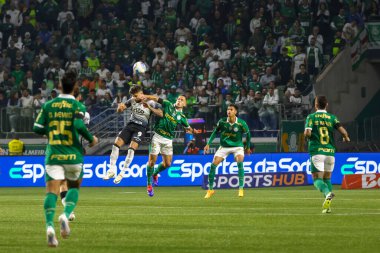 Sao Paulo (SP), Brezilya 07 / 01 / 2024 - Sao Paulo-SP 'deki Allianz Parque' da BRASILEIRO vs PALMEIRAS maçı. 