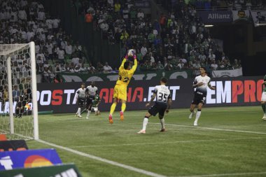 Sao Paulo (SP), Brezilya 07 / 01 / 2024 - Sao Paulo-SP 'deki Allianz Parque' da BRASILEIRO vs PALMEIRAS maçı. 
