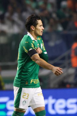 Sao Paulo (SP), Brezilya 07 / 01 / 2024 - Sao Paulo-SP 'deki Allianz Parque' da BRASILEIRO vs PALMEIRAS maçı. 