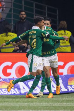 Sao Paulo (SP), Brezilya 07 / 01 / 2024 - Sao Paulo-SP 'deki Allianz Parque' da BRASILEIRO vs PALMEIRAS maçı. 