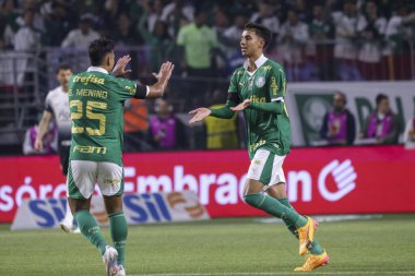 Sao Paulo (SP), Brezilya 07 / 01 / 2024 - Sao Paulo-SP 'deki Allianz Parque' da BRASILEIRO vs PALMEIRAS maçı. 