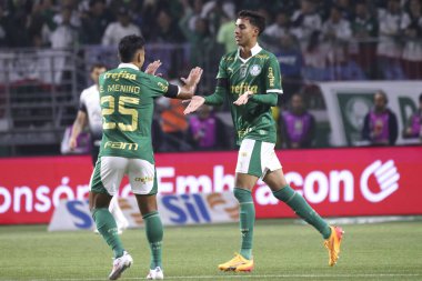 Sao Paulo (SP), Brezilya 07 / 01 / 2024 - Sao Paulo-SP 'deki Allianz Parque' da BRASILEIRO vs PALMEIRAS maçı. 