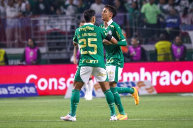 Sao Paulo (SP), Brezilya 07 / 01 / 2024 - Sao Paulo-SP 'deki Allianz Parque' da BRASILEIRO vs PALMEIRAS maçı. 