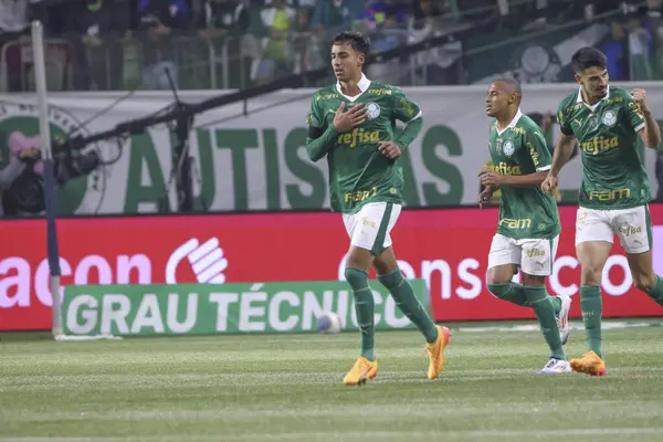 Sao Paulo (SP), Brezilya 07 / 01 / 2024 - Sao Paulo-SP 'deki Allianz Parque' da BRASILEIRO vs PALMEIRAS maçı. 