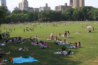 4 Temmuz New York 'taki Central Park' ta kutlandı. 4 Temmuz 2024, New York, ABD: Birçok New Yorklu ve turist 4 Temmuz Bağımsızlık Günü 'nü Central Park' ın Büyük Bahçesi 'nde piknik, yemek, müzik ve spor etkinlikleriyle kutlarken görülüyor 
