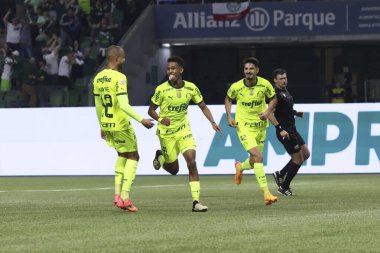 Sao Paulo (SP), Brezilya 07 / 07 / 2024 - Match BRASILEIRO vs PALMEIRAS 2024, Sao Paulo-SP 'deki Allianz Parque' da. 