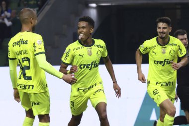 Sao Paulo (SP), Brezilya 07 / 07 / 2024 - Match BRASILEIRO vs PALMEIRAS 2024, Sao Paulo-SP 'deki Allianz Parque' da. 