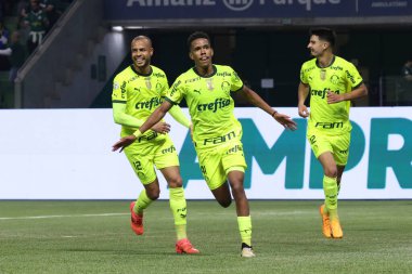 Sao Paulo (SP), Brezilya 07 / 07 / 2024 - Match BRASILEIRO vs PALMEIRAS 2024, Sao Paulo-SP 'deki Allianz Parque' da. 