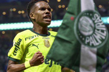 Sao Paulo (SP), Brezilya 07 / 07 / 2024 - Match BRASILEIRO vs PALMEIRAS 2024, Sao Paulo-SP 'deki Allianz Parque' da. 