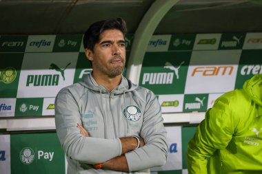 Sao Paulo (SP), Brezilya 07 / 07 / 2024 - Match BRASILEIRO vs PALMEIRAS 2024, Sao Paulo-SP 'deki Allianz Parque' da. 