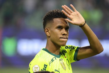 Sao Paulo (SP), Brezilya 07 / 07 / 2024 - Match BRASILEIRO vs PALMEIRAS 2024, Sao Paulo-SP 'deki Allianz Parque' da. 