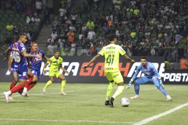 Sao Paulo (SP), Brezilya 07 / 07 / 2024 - Match BRASILEIRO vs PALMEIRAS 2024, Sao Paulo-SP 'deki Allianz Parque' da. 