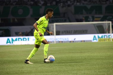 Sao Paulo (SP), Brezilya 07 / 07 / 2024 - Match BRASILEIRO vs PALMEIRAS 2024, Sao Paulo-SP 'deki Allianz Parque' da. 