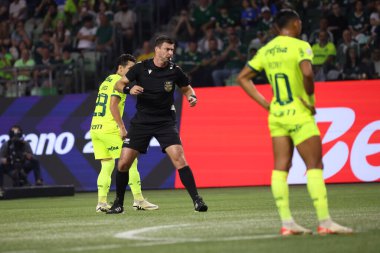 Sao Paulo (SP), Brezilya 07 / 07 / 2024 - Match BRASILEIRO vs PALMEIRAS 2024, Sao Paulo-SP 'deki Allianz Parque' da. 