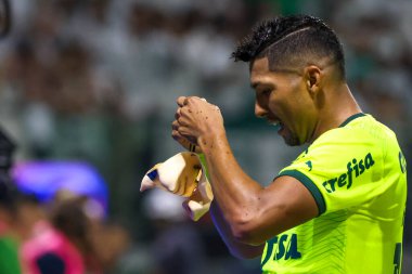 Sao Paulo (SP), Brezilya 07 / 07 / 2024 - Match BRASILEIRO vs PALMEIRAS 2024, Sao Paulo-SP 'deki Allianz Parque' da. 