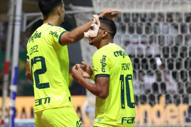 Sao Paulo (SP), Brezilya 07 / 07 / 2024 - Match BRASILEIRO vs PALMEIRAS 2024, Sao Paulo-SP 'deki Allianz Parque' da. 