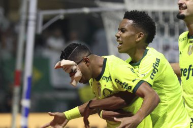 Sao Paulo (SP), Brezilya 07 / 07 / 2024 - Match BRASILEIRO vs PALMEIRAS 2024, Sao Paulo-SP 'deki Allianz Parque' da. 