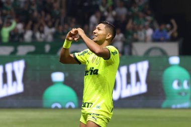 Sao Paulo (SP), Brezilya 07 / 07 / 2024 - Match BRASILEIRO vs PALMEIRAS 2024, Sao Paulo-SP 'deki Allianz Parque' da. 