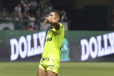 Sao Paulo (SP), Brezilya 07 / 07 / 2024 - Match BRASILEIRO vs PALMEIRAS 2024, Sao Paulo-SP 'deki Allianz Parque' da. 