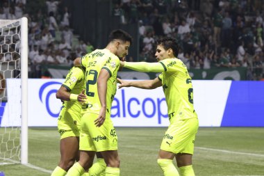 Sao Paulo (SP), Brezilya 07 / 07 / 2024 - Match BRASILEIRO vs PALMEIRAS 2024, Sao Paulo-SP 'deki Allianz Parque' da. 