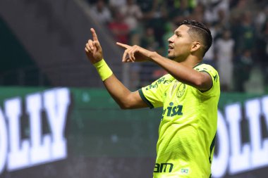 Sao Paulo (SP), Brezilya 07 / 07 / 2024 - Match BRASILEIRO vs PALMEIRAS 2024, Sao Paulo-SP 'deki Allianz Parque' da. 