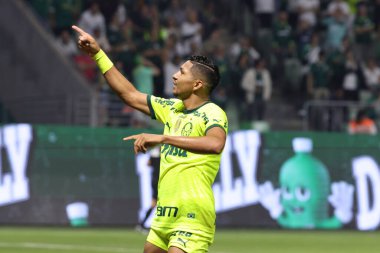 Sao Paulo (SP), Brezilya 07 / 07 / 2024 - Match BRASILEIRO vs PALMEIRAS 2024, Sao Paulo-SP 'deki Allianz Parque' da. 