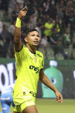 Sao Paulo (SP), Brezilya 07 / 07 / 2024 - Match BRASILEIRO vs PALMEIRAS 2024, Sao Paulo-SP 'deki Allianz Parque' da. 