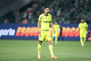Sao Paulo (SP), Brezilya 07 / 07 / 2024 - Sao Paulo-SP 'deki Allianz Parque' da BRASILEIRO vs PALMEIRAS maçı. 