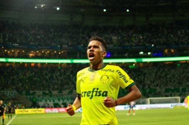 Sao Paulo (SP), Brezilya 07 / 07 / 2024 - Sao Paulo-SP 'deki Allianz Parque' da BRASILEIRO vs PALMEIRAS maçı. 