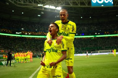 Sao Paulo (SP), Brezilya 07 / 07 / 2024 - Sao Paulo-SP 'deki Allianz Parque' da BRASILEIRO vs PALMEIRAS maçı. 