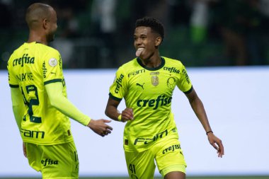 Sao Paulo (SP), Brezilya 07 / 07 / 2024 - Sao Paulo-SP 'deki Allianz Parque' da BRASILEIRO vs PALMEIRAS maçı. 