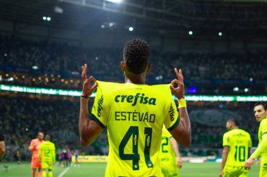 Sao Paulo (SP), Brezilya 07 / 07 / 2024 - Sao Paulo-SP 'deki Allianz Parque' da BRASILEIRO vs PALMEIRAS maçı. 