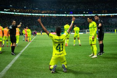 Sao Paulo (SP), Brezilya 07 / 07 / 2024 - Sao Paulo-SP 'deki Allianz Parque' da BRASILEIRO vs PALMEIRAS maçı. 