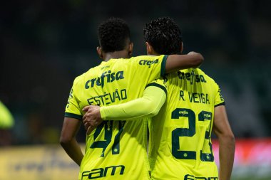 Sao Paulo (SP), Brezilya 07 / 07 / 2024 - Sao Paulo-SP 'deki Allianz Parque' da BRASILEIRO vs PALMEIRAS maçı. 