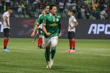 Sao Paulo (SP), 07 / 11 / 2024 - BRASILEIRO / PALMEIRAS vs ATLETICO-GO - Palmeiras oyuncusu Raphael Veiga, Palmeiras ve Atletico-GO arasında oynanan ve Brezilya Şampiyonası 'nın 16. turu için geçerli olan maçta golünü kutluyor. 