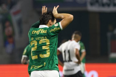 Sao Paulo (SP), 07 / 11 / 2024 - BRASILEIRO / PALMEIRAS vs ATLETICO-GO - Palmeiras oyuncusu Raphael Veiga, Palmeiras ve Atletico-GO arasında oynanan ve Brezilya Şampiyonası 'nın 16. turu için geçerli olan maçta golünü kutluyor. 