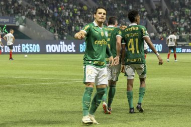 Sao Paulo (SP), 07 / 11 / 2024 - BRASILEIRO / PALMEIRAS vs ATLETICO-GO - Palmeiras oyuncusu Raphael Veiga, Palmeiras ve Atletico-GO arasında oynanan ve Brezilya Şampiyonası 'nın 16. turu için geçerli olan maçta golünü kutluyor. 