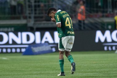 Sao Paulo (SP), 07 / 11 / 2024 - BRASILEIRO / PALMEIRAS - ATLETICO-GO - Estevao, Palmeiras ve Atletico-GO arasında oynanan ve Brezilya Şampiyonası 'nın 16. turu için geçerli olan maçta golünü kutluyor.